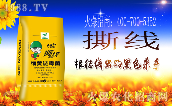 ���S��������ˡ�ף������µ�һ����ؔ(c��i)�\(y��n)�L�L�������d����