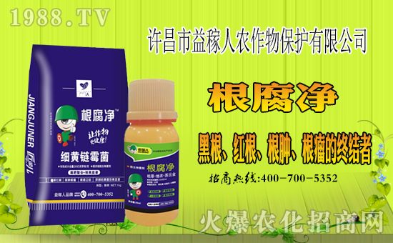 ���S��������ˡ�ף������µ�һ����ؔ(c��i)�\(y��n)�L�L�������d����