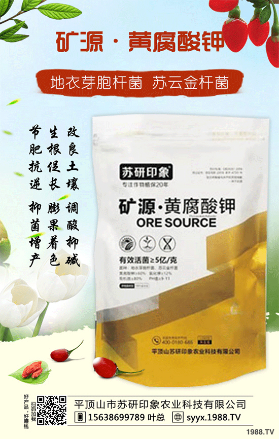 ��ƽ�ɽ���K��ӡ��ף������µ�һ�������w�����������³����f��������