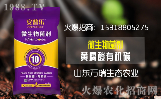     ���f�����B(t��i)��ף���2020�����w�����������d�����H���Ҹ���