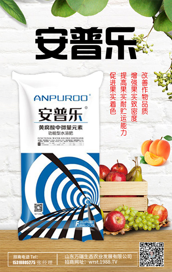     ���f�����B(t��i)��ף���2020�����w�����������d¡���H���Ҹ���