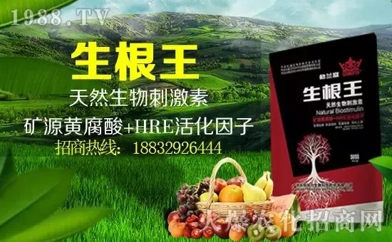 小麥漲價(jià)！個(gè)別報(bào)價(jià)超過(guò)2500元/噸！