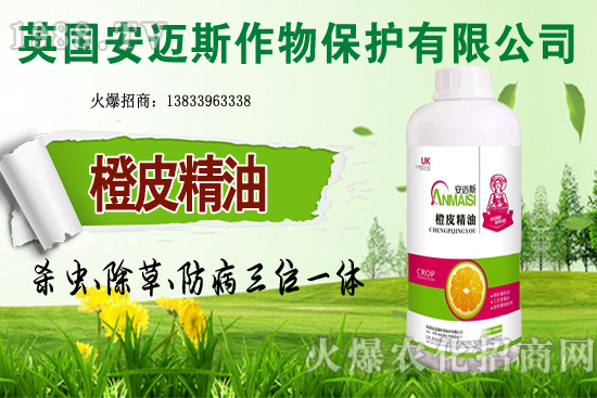 10月種植哪些蔬菜更合適？田間管理要重點抓好哪幾點？