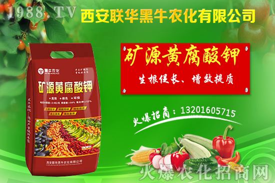 �＾����(sh��)ԓ��ι������＾����(sh��)���푪(y��ng)������Ĵ��`�^(q��)��