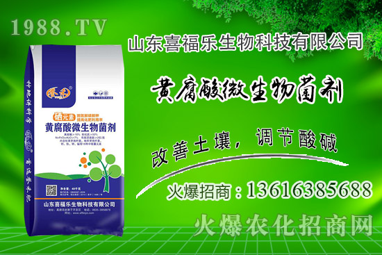 花生價(jià)格穩(wěn)中偏強(qiáng)！2020年10月14日花生價(jià)格行情分析