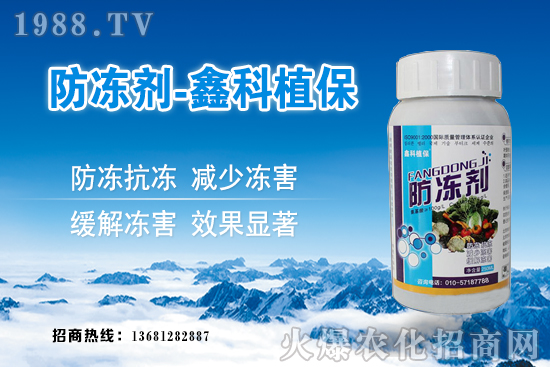 西葫蘆旺長(zhǎng)什么原因？西葫蘆如何控旺？西葫蘆旺長(zhǎng)補(bǔ)救措施！