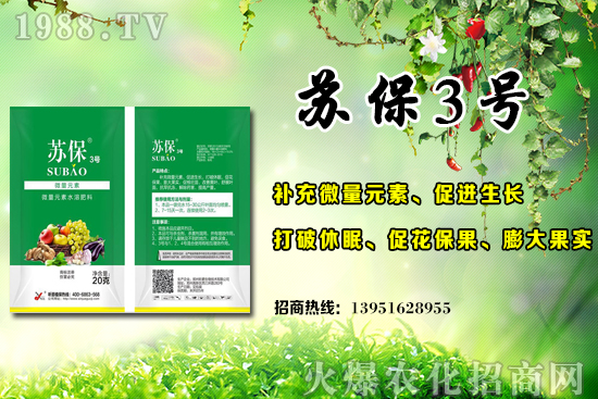 大棚黃瓜應(yīng)該在什么時(shí)候施肥？大棚黃瓜底肥施用的3個(gè)誤區(qū)！