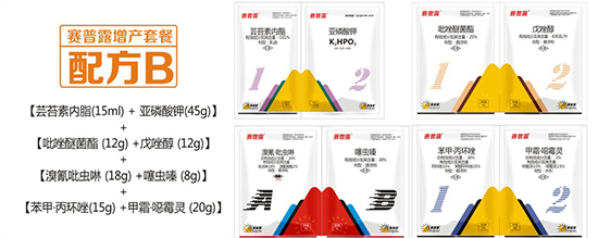 ���a�ײ�-�ζ���-ِ��¶3