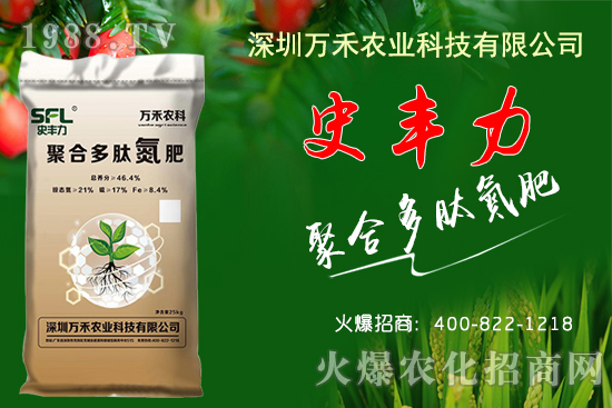 花生價格每斤高達6元？2020年10月17日各地花生價格行情