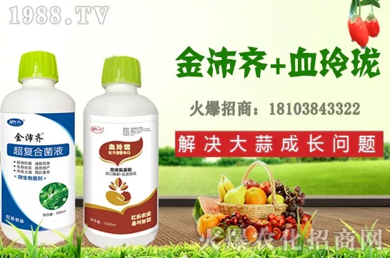     四季石榴生長習(xí)性有哪些，四季石榴栽植技術(shù)及花果期管理！