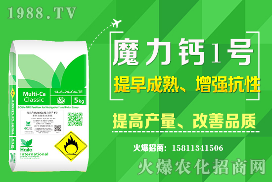 ʮ����Ѯ�m�ϷNֲʲô��ˎ�ģ���Щ��ˎ��ٍ�X�������