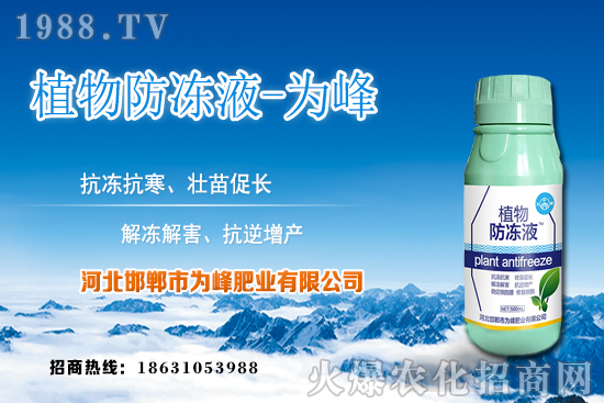 蘆薈的生長(zhǎng)規(guī)律有哪些？蘆薈種植方法及種植注意事項(xiàng)！