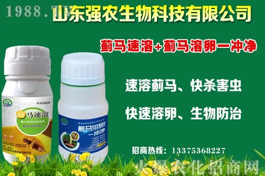 秋冬11月種植什么蔬菜比較合適？蔬菜種植注意事項！