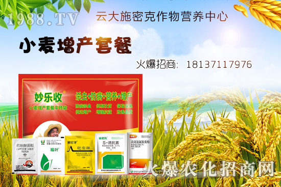 С�����N�󲻳��磿��ʲôԭ����ɵ���