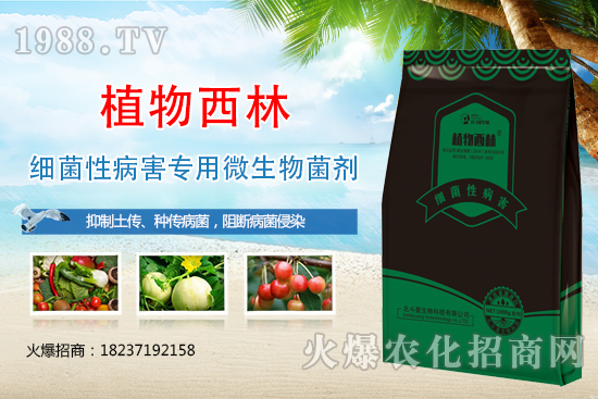 ����̿�Ҳ��Y����ʲô������̿�Ҳ��l(f��)��ԭ�򼰷���