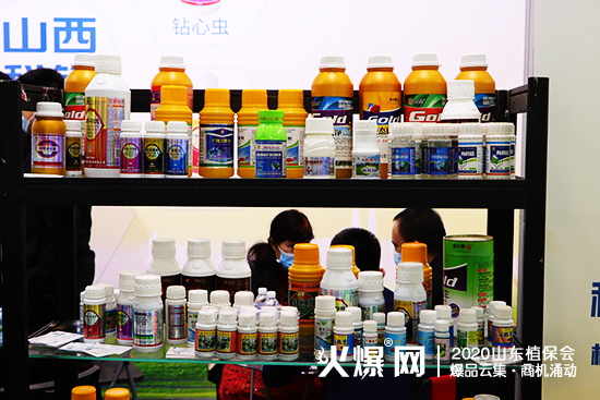 2020ɽ�|����ֲ������ɽ�����h�r�I(y��)�F����ԃ�������࣡չλ̖��WT113��