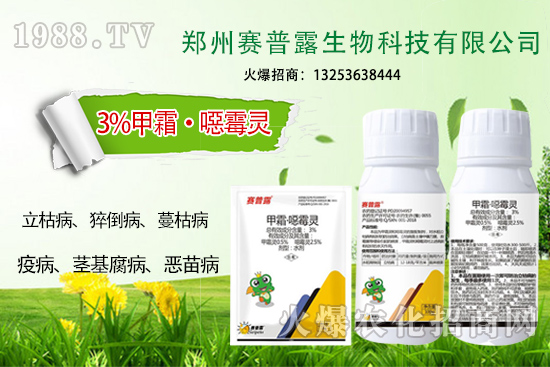 ��ʲô˪ù����⧵����װl(f��)���y���Σ�