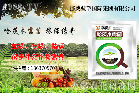 �ի@���С����΃�(ch��)���أ�С����(ch��)���P(gu��n)�I�c(di��n)������