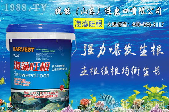 小麥種植時(shí)間如何確定？2020年小麥種植注意哪些問(wèn)題？