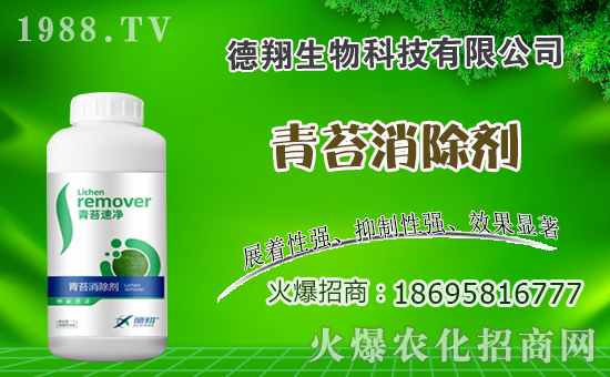 �Ͳ�ʲô�r�g�Nֲ���Ͳ˷Nֲ������ʲô������Щע����헣�