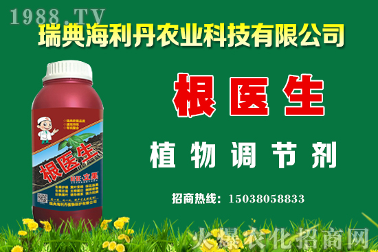 油菜怎么管理能提高產(chǎn)量？油菜抗寒防凍措施有哪些？