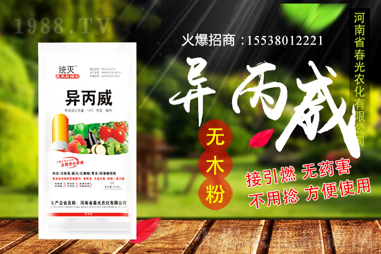 蒜苗種植前景及怎么樣？蒜苗種植要點及田間管理！