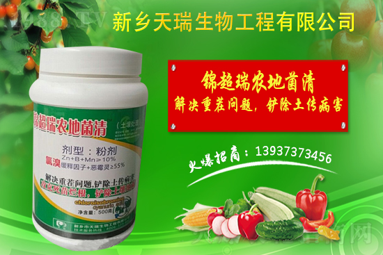 洋蔥如何施肥？洋蔥施肥方法及播種時間！