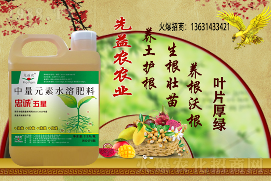 花生價(jià)格還能繼續(xù)上漲么？2020-11-10部分區(qū)域花生價(jià)格詳情