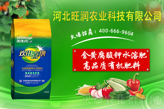 果園反光膜怎么鋪效果好？果園鋪反光膜五要點！