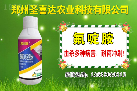 生姜播種方法有哪些？生姜可以和什么作物套種？