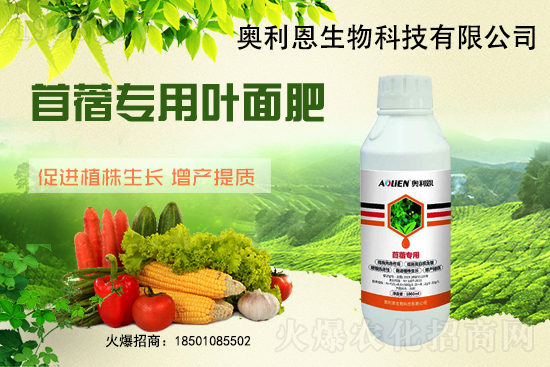 ��ޣԽ������ôʩ����ޣ��ʩ�ʹ���