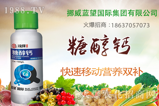 草莓缺鈣有哪些原因呢？草莓缺鈣癥狀及補(bǔ)救措施