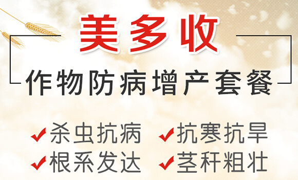 ����������a(ch��n)�ײ�-������-ِ��¶_01