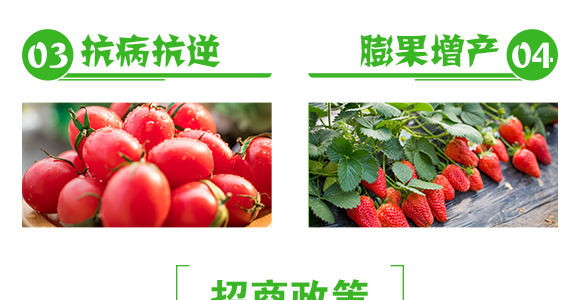 �w����-��Ч-�����r�I(y��)_06