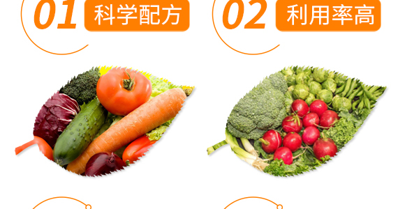 50g��������-��ʩ��_06