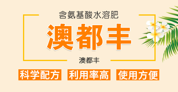 50g��������-��ʩ��_01