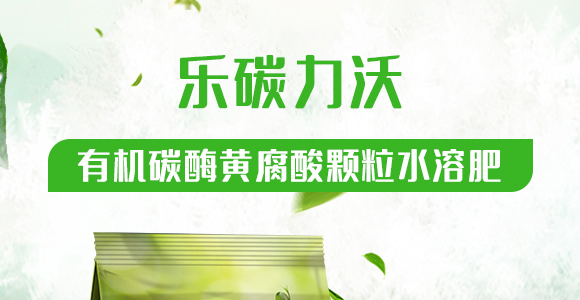 �w����-��Ч-�����r�I(y��)_01