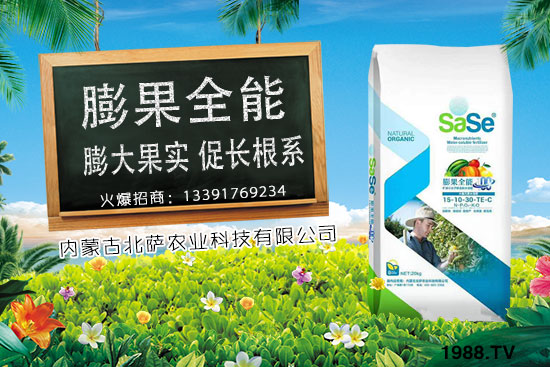 菜椒要怎么種植？菜椒生長條件及種植技術(shù)！