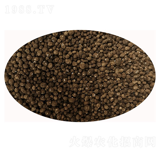 �����{(di��o)�턩�w��-Ϡ֮��-�۝��ʘI(y��)