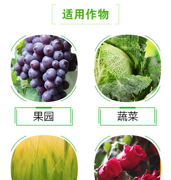 �����ء��-������_05