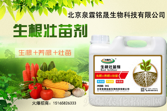 一豆難求！2020-11-25東北大豆上漲迅猛