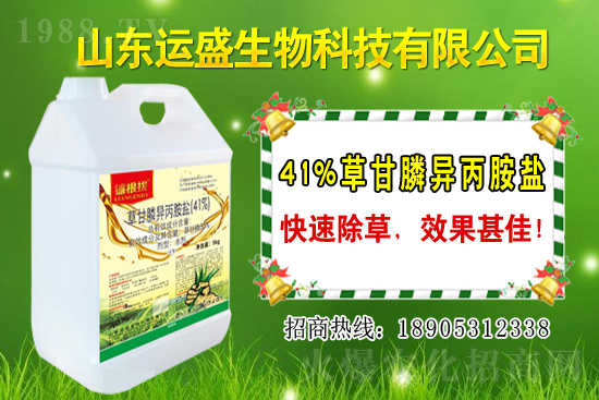 覆盆子生長習(xí)性有哪些？覆盆子種植技術(shù)！