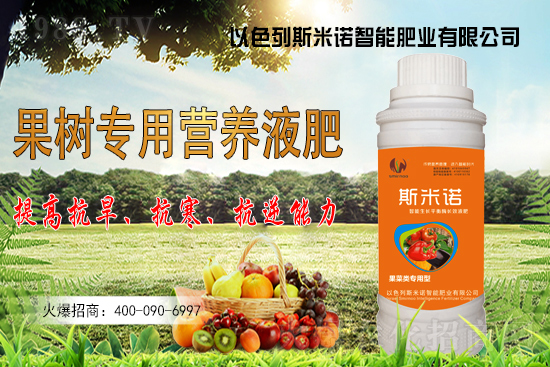 大豆價(jià)格持續(xù)“高漲”？今日東北大豆報(bào)價(jià)一覽！