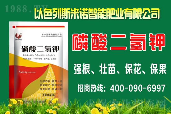 柑橘什么時間施肥？柑橘的施肥時間及用量介紹！