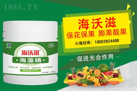 造成草莓果小是什么因素？怎么促進(jìn)草莓膨果呢？