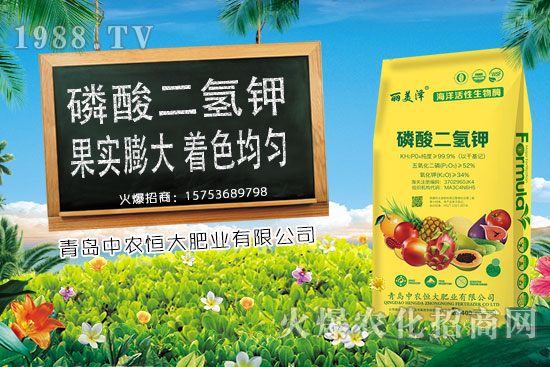 今日小麥價格上漲，后期是否會持續(xù)上漲？