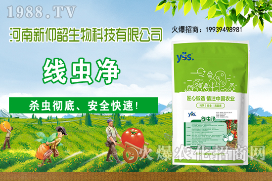 多肉植物該怎么澆水？多肉植物澆水要注意哪些問題呢？