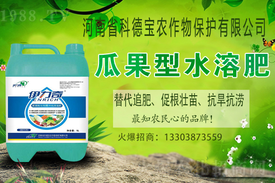 江西贛南臍橙什么時候成熟上市？如何挑選贛南臍橙？