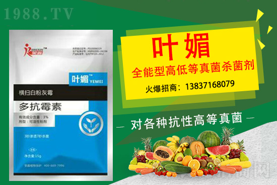 辣椒病害嚴(yán)重太難纏，如何輕松解決？