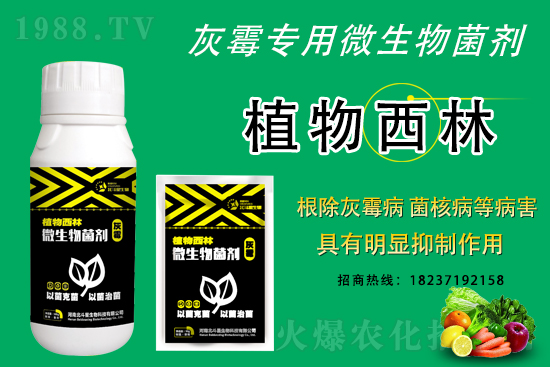 灰霉病不好治的原因，怎么做防治效果好？